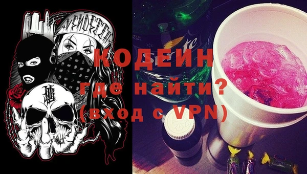 хмурый Алзамай