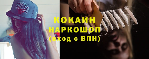 хмурый Алзамай