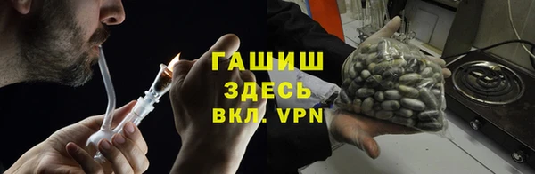 хмурый Алзамай