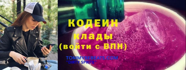 хмурый Алзамай