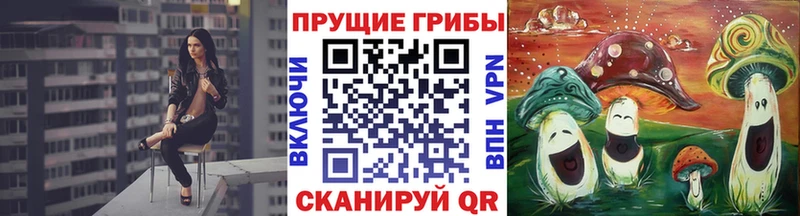 Псилоцибиновые грибы Cubensis  Коряжма 